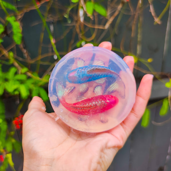 Koi Fish Soap Art (Solid Soap!!!)