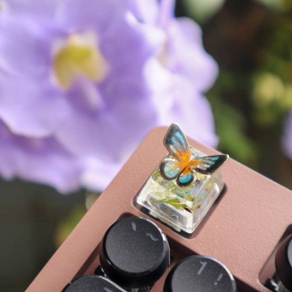 Butterfly Esc Key